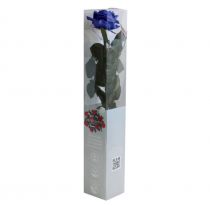 Rose Stabilisée Premium sur Tige 45cm Bleu Saphir