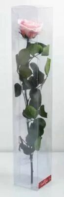 Rose Stabilis�e Premium sur Tige 45cm Rose