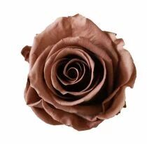 Rose Stabilis&eacute;e Standard Moka ( x 6 )