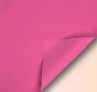 b805 fushia