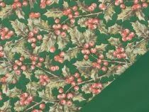 Rouleau Bulle Aquifolium 0,70x40m Vert