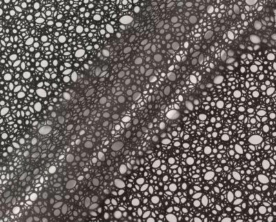 Rouleau Bulle Boucles 0,80x40m Noir