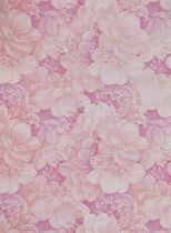 Rouleau Bulle Camilla 0,70x40m Rose