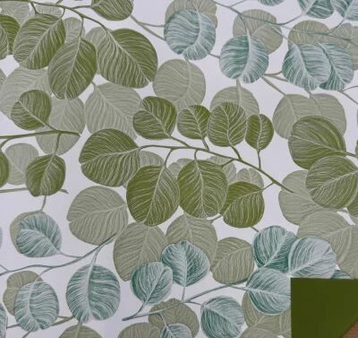 Rouleau Bulle Eucalipto 0,70x40m Vert Olive
