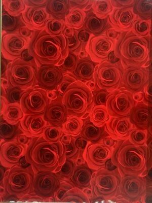 Rouleau Bulle Roselline 0,70x50m Rouge/Noir