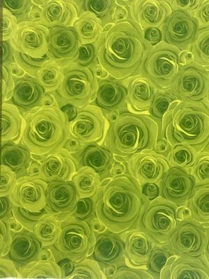Rouleau Bulle Roselline 0,70x50m Vert Olive
