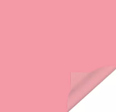 b941 rose