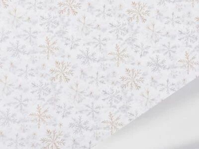 Rouleau Bulle Xmas Cheer 0,70x40m Argent