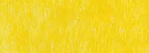 b496 jaune
