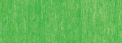 b496 vert pomme