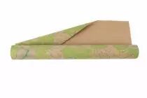 Rouleau Kraft Brun Predator 0,70x40m Vert Anis