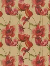 Rouleau Kraft Coquelicot 0,80x40m Naturel