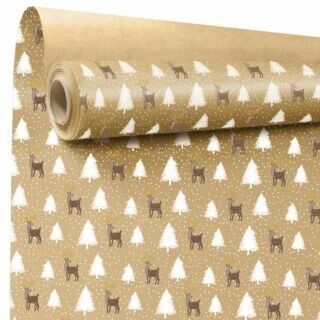 Rouleau Kraft Ecru Tino 0,69x50m Blanc