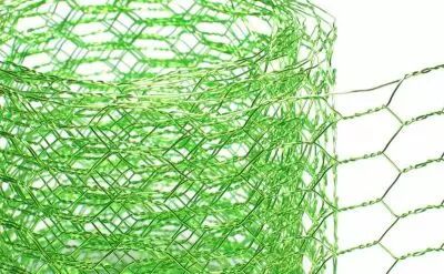 192301_grillage_hexagonal_5cmx5m_vert_pomme