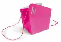 Sac Carton Alagos 18x18x20 Fushia