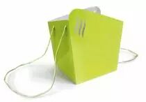 Sac Carton Alagos 18x18x20 Vert Anis