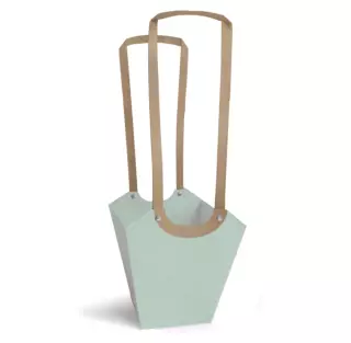 Sac Carton Aqua 11x11x19 Vert Sauge ( x 10 )