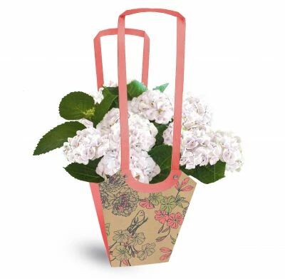 Sac Carton Aqua Birdy 11x11x19 Rose/Vert ( x 10 )