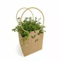 Sac Carton Evidence Holly 12x12 H12,5 Naturel ( x 10 )
