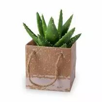 Sac Carton Kirsten 10x10x10 Vert ( x 10 )