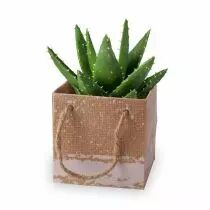 Sac Carton Kirsten 10x10x10 Vert ( x 10 )