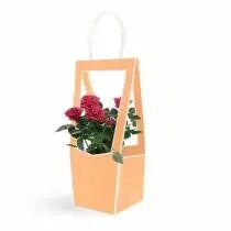 Sac Carton Médaillon 10x12 H35 Pêche ( x 5 )