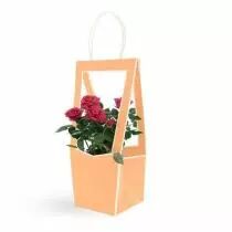 Sac Carton Médaillon 10x12 H35 Pêche ( x 5 )