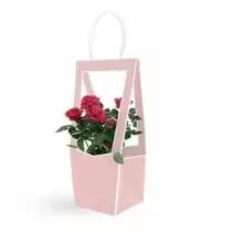 Sac Carton Médaillon 10x12 H35 Rose ( x 5 )