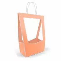 Sac Carton Médaillon 23x14 H38 Pêche ( x 5 )