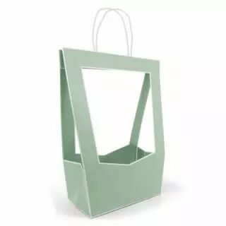 Sac Carton M�daillon 23x14 H38 Vert Sauge ( x 5 )