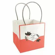 Sac Carton Mood 15x15 H15 Saumon ( x 10 )