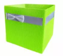 Sac Carton Simply 10,5x10,5 H10 Vert Anis ( x 10 )