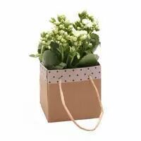 Sac Carton Sophie 13x13x13 Blanc x 10