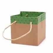 Sac Carton Sophie 13x13x13 Vert x 10