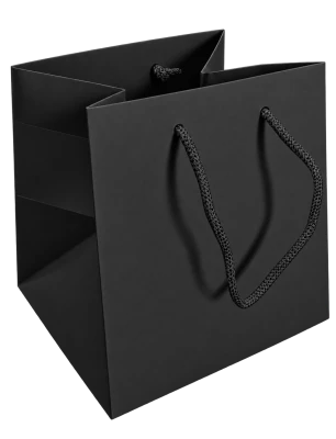Sac Kraft 20x20x20 Noir ( x 10 )