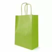 Sac Kraft Blanc 18x8 H22 Vert Anis ( x 50 )