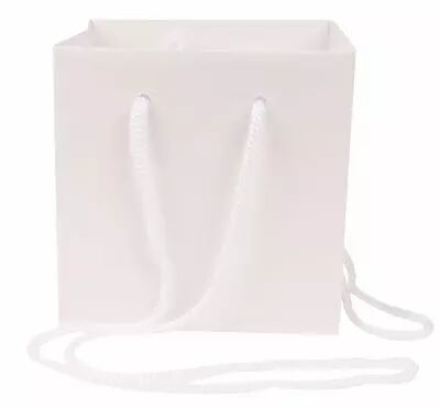 Sac Kraft Cadoc 13x13x13 Blanc Nacr� x 10