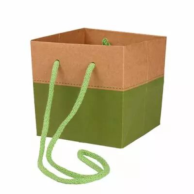 Sac Kraft Cadoc Couture 13x13x13 Vert ( x 10 )
