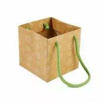 Sac Kraft Delicate 10,5x10,5 H10,5 Vert ( x 10 )