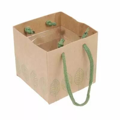 Sac Kraft LeafMe 10,5x10,5x10,5 Vert ( x 10 )