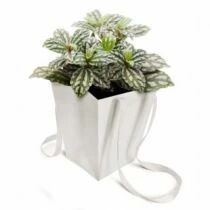 Sac Papier Elégant 16,5x16,5x18 Blanc ( x 10 )