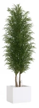 Slim green Nicoly tree 1.80