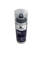Spray Easy Color 400ml Noir