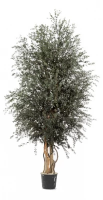 Washingtonia palm tree kit 1,4 m